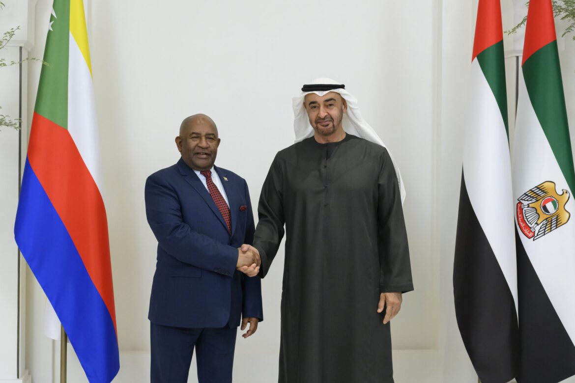 3150912119827444735-scaled